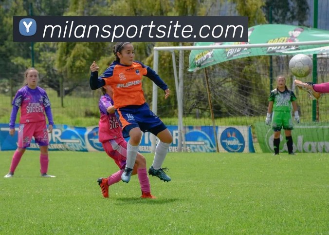 多媒体互动体验