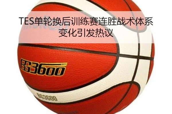 TES单轮换后训练赛连胜战术体系变化引发热议 | milan